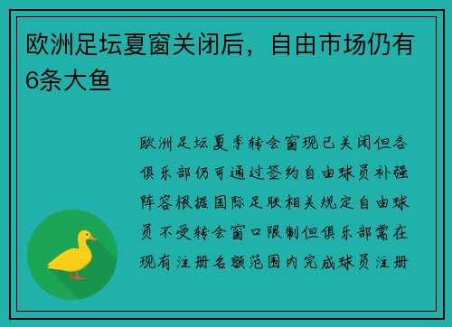 欧洲足坛夏窗关闭后，自由市场仍有6条大鱼